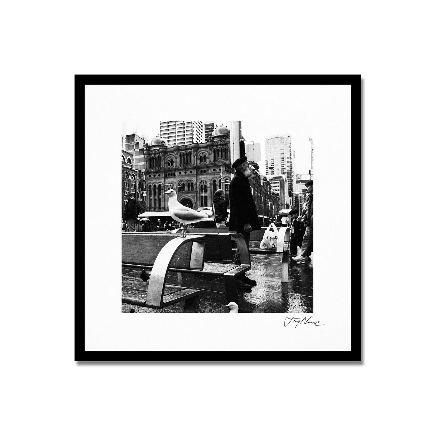 Seagulls at Townhall 30x30cm